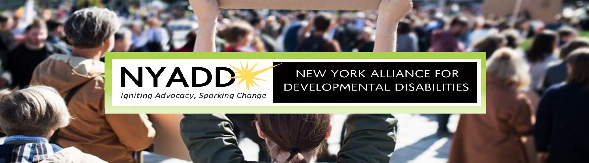 nyadd,developmental disabilities,IDD